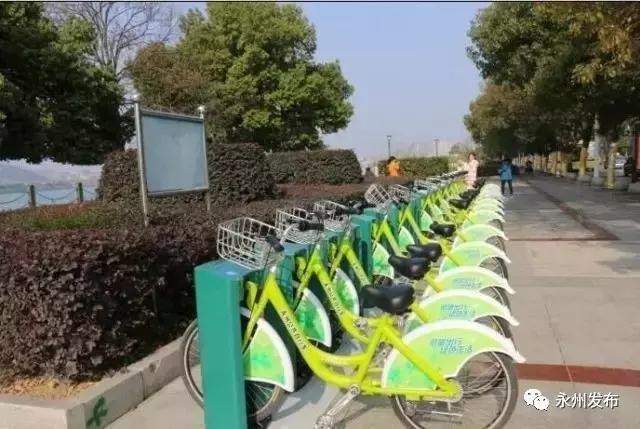 取車難、停車也難？學會這一招，輕松玩轉公共自行車！