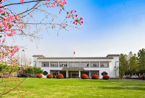心系行業(yè)發(fā)展 積極獻(xiàn)言獻(xiàn)策——中國國際商會(huì)向永安行發(fā)來感謝信